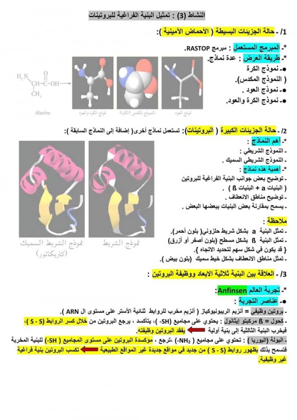 ملخص الوحدة 2 الثانية علوم طبيعية : العلاقة بين بنية و وظيفة البروتين bac 2024