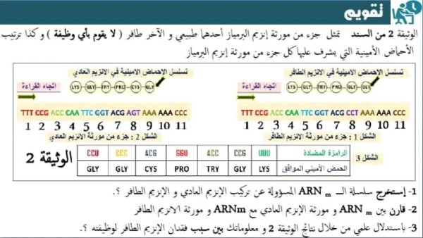 الشفرة الوراثية BAC 2024 ملخص الدرس 3  الترجمة الشفرة الوراثية سنة 3  الثالثة علوم تجريبية كيفية ترجمة: الشفرة الوراثية