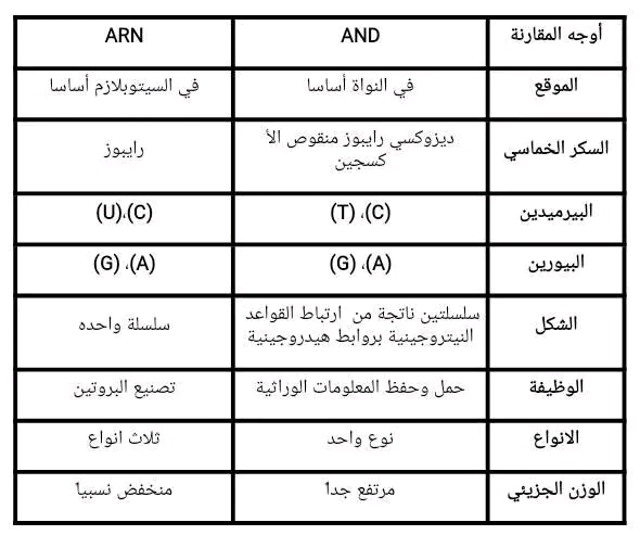 الحمض النووي الريبوزي (ARN)جدول أوجه الاختلاف والتشابه بين الأحماض النووية ADN و ARN أنواع الحمض النووي