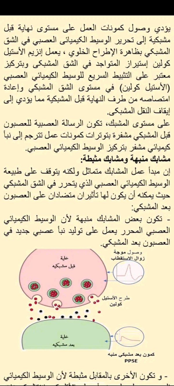 تحضير درس النقل المشبكي سنة ثانية ثانوي