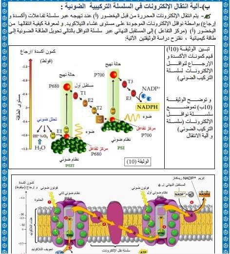 آلية انتقال الالكترونات في السلسلة التركيبية الضوئية (من جزيئة الماءH2O الى مستقبل الالكترونات NADP+)