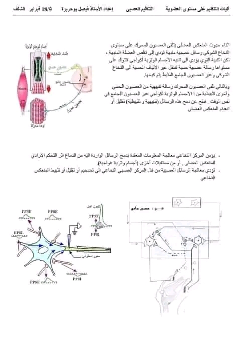 تحضير درس الادماج العصبي سنة 2 ثانوي علوم