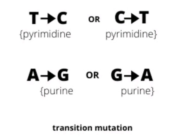 بحث حول الطفرات الوراثية . تعريف الطفرة أهميتها خصائصها أنواعها أمثلة على الطفرات Mutations ويكيبيديا  أمثلة على الطفرات الوراثية أنواع الطفرات الوراثية PDF أمراض الطفرات الجينية الطفرة الجينية والحمل أنواع الطفرات الوراثية 2 ثانوي أهمية الطفرات الوراثية pdf