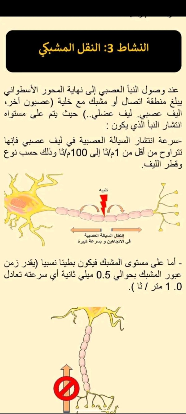 ملخص النقل المشبكي ثانية 2 ثانوي شعبة علوم