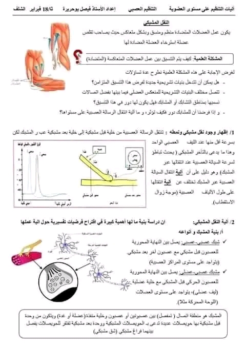 ملخص النقل المشبكي ثانية 2 ثانوي شعبة علوم