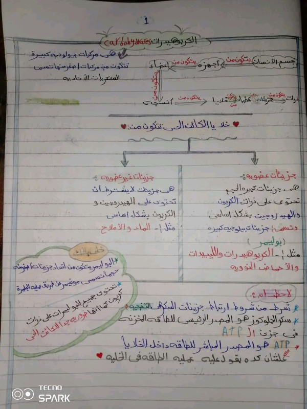 ملخص درس الكربوهيدرات واللبيدات احياء اولي ثانوي