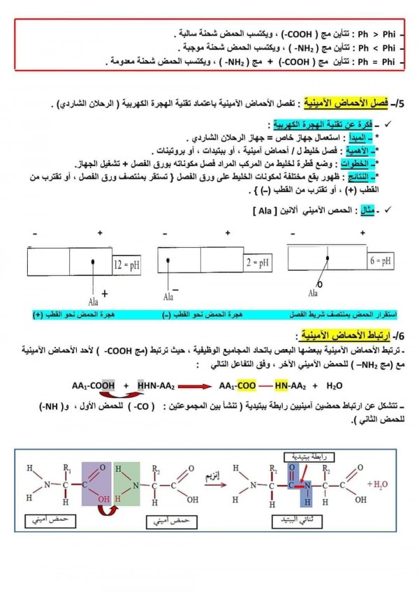 ملخص الوحدة 2 الثانية علوم طبيعية : العلاقة بين بنية و وظيفة البروتين bac 2024 فصل الأحماض الأمينية 3 ثانوي