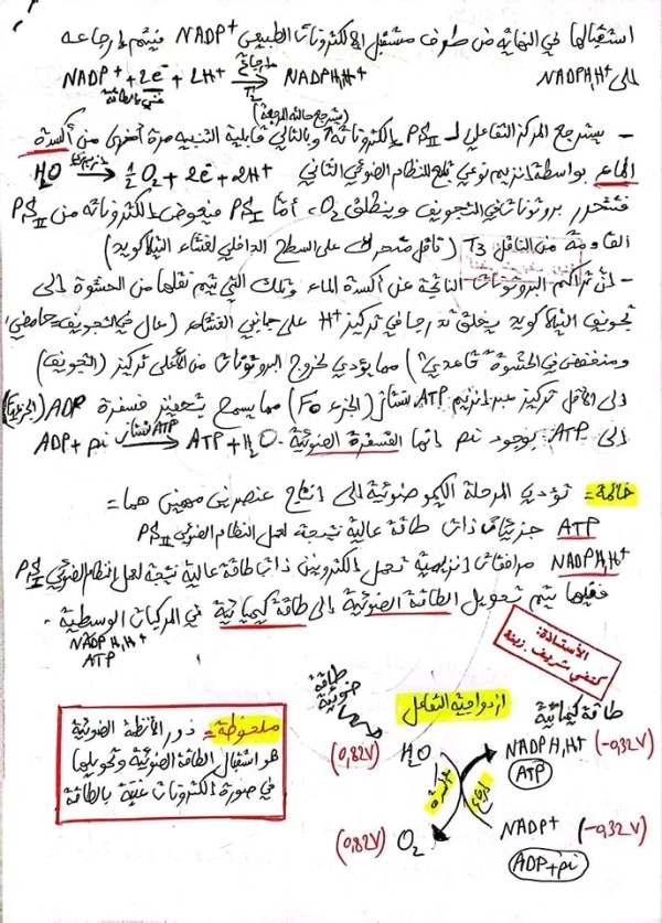 نص علمي شامل حول تفاعلات المرحلة الكيموضوئية + رسم تخطيطي. نص عملي حول المرحلة الكيموضوئية والكيموحيوية  3 ثانوي ع ت