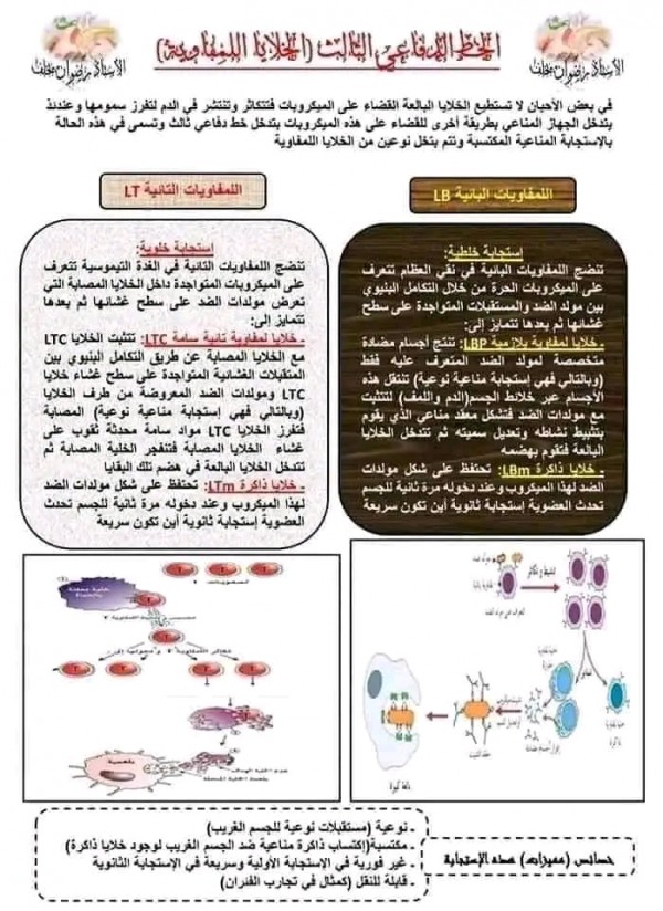 ملخص الاستجابة المناعية : الخط الدفاعي الأول الحواجز الطبيعية-الخط الدفاعي الثاني التفاعل الالتهابي والبلعمة علوم طبيعية السنة الرابعة متوسطملخص الاستجابة المناعية الخلوية الاستجابة الخلوية 4 متوسط ملخص المناعة باك 2023 pdf درس الاستجابة ملخص المناعة pdf