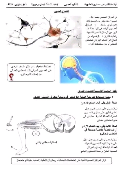 ملخص درس الادماج العصبي سنة ثانية شعبة علوم تجريبية