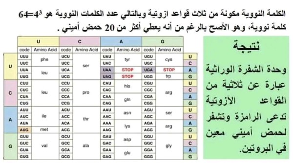 الشفرة الوراثية BAC 2024 ملخص الدرس 3  الترجمة الشفرة الوراثية سنة 3  الثالثة علوم تجريبية كيفية ترجمة: الشفرة الوراثية