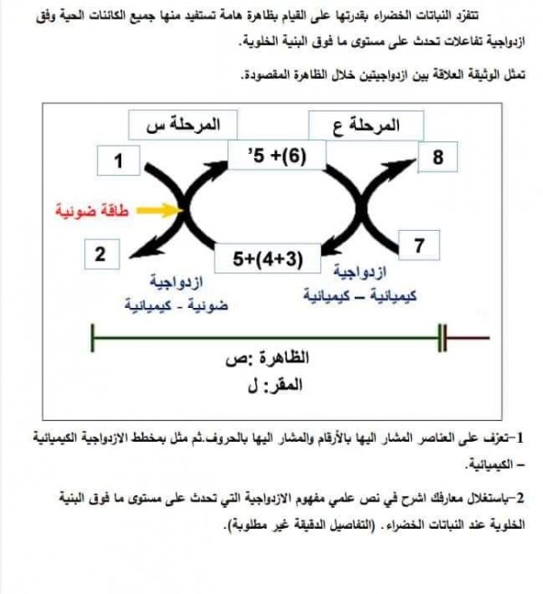 نص علمي حول الازدواجية على مستوى مافوق البنية الخلوية عند النباتات الخضراء 3ع ت